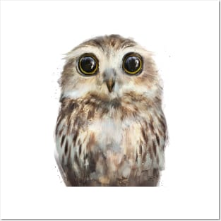 Little Owl Posters and Art